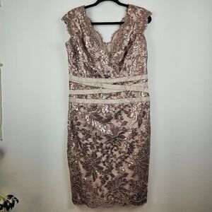 Tadashi Shoji Banded-Waist Sequined Lace Dress Size 12 dusty rose